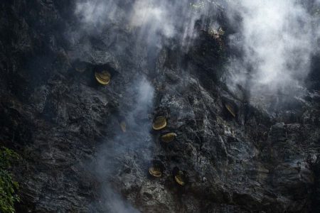 Honey Hunting in The Himalayas